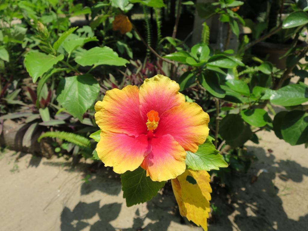 Bangbaobeach Resort 코창 외부 사진